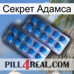 Секрет Адамса viagra2